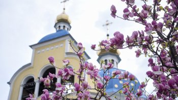 День пам’яті Мартина Сповідника: історія свята та народні прикмети