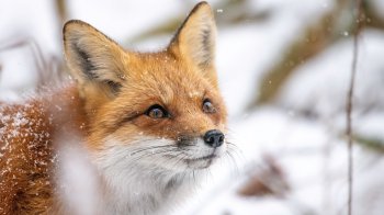 Фото: Jeremy Hynes