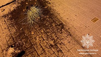 У Львові іноземець нищив вуличні насадження: його затримав патруль 
