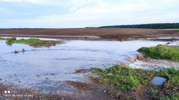На Львівщині злива затопила городи та будинки (фото)