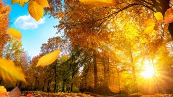 День осіннього рівнодення: цікаві факти, традиції та що не можна робити