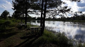 Яворівській громаді повернули близько 3 га рекреаційної землі