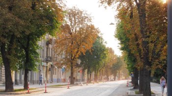 Якість повітря у Львові погіршилася: результати дослідження.