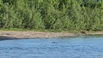 У Тисі знайшли тіла ще шістьох потопельників