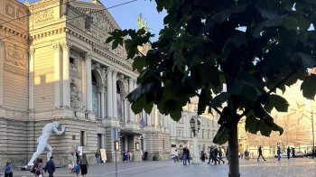 Підприємець придбав дерево у Львові за 1,5 млн грн для закупки дронів