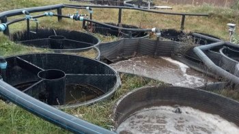 У Глинянах завершили 10-річне будівництво каналізації та очисних споруд