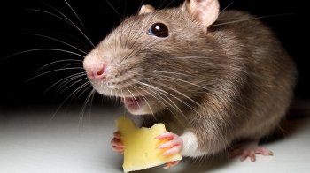 58-річний мешканець Самбірщини