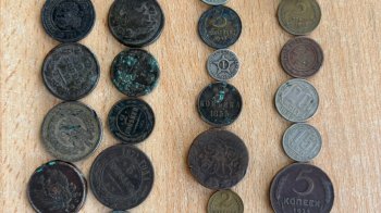 Українка намагалась вивезти до Польщі колекцію старовинних монет та незадекларовану валюту