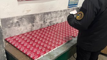 Львівські митники виявили незадекларовані одноплатні комп’ютери на 1,35 млн грн