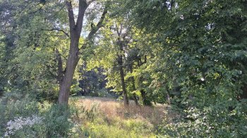 Львівська громада розширює зелені зони: нові сквери та парк