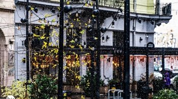 Новий рік у Львові: коли запрацює різдвяний ярмарок та де купити ялинку