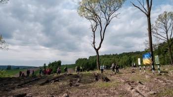 На Львівщині висадили майже 40 тисяч саджанців дерев