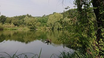 У Львові в озері витягнули тіло потопельника