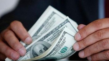 Звільнених дрогобицьких поліцейських та лісничого підозрюють у хабарництві за вирубку лісу