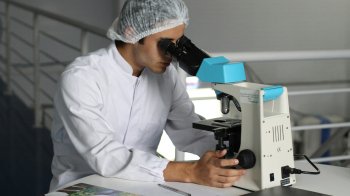 Репродуктивні клітини загиблих військових не знищуватимуть: Зеленський підписав закон