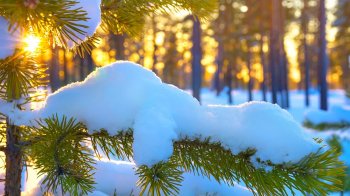 Синоптики розповіли, якою буде погода на Львівщині у перший день зими