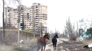 Фото: скрин з відео поліції Донеччини