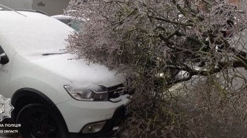Повалені дерева, обірвані лінії електропередачі та пошкоджені авто: наслідки негоди у Львові