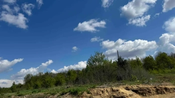 Писарчук купив за 5 млн грн землю під будівництво в Зимній Воді