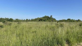 29 років не виконували рішення: на Львівщині фермер відсудив у виконавчої служби 224 тис. грн