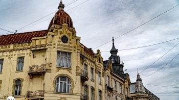 Скільки мільйонерів живе на Львівщині та в якому районі поширюється сказ: головні новини області за 23 березня