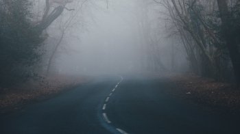 До уваги водіїв: у другій половині дня у Львові — туман, а на дорогах ожеледиця 