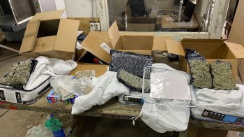 На Львівській митниці виявили понад 4 кг наркотиків у поштових посилках