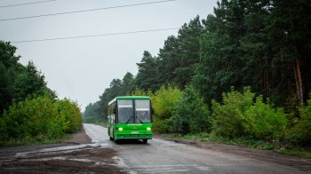 У Шептицькому районі пільговикам видаватимуть картки для проїзду у маршрутках
