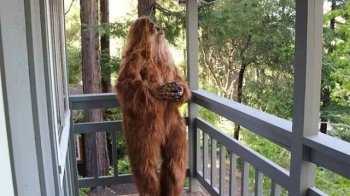 Таємниця єті, ймовірно, розгадана: учені отримали нові докази