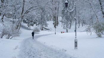 Хуртовини та до 24° морозу: на Львівщині прогнозують ускладнення погоди