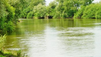 Фахівці розповіли про стан води у річках на Львівщині: які найбільш забруднені