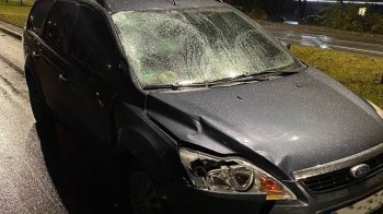 У Львові на пішохідному переході водій Ford збив на смерть 22-річного одесита