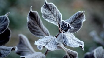 До -2 градусів вночі: прогноз погоди на Львівщині у неділю