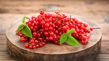 Смачні рецепти з червоної смородини