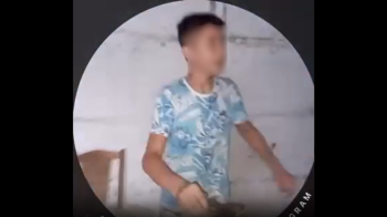 Поліція перевіряє випадок знущання підлітків над кошеням на Львівщині