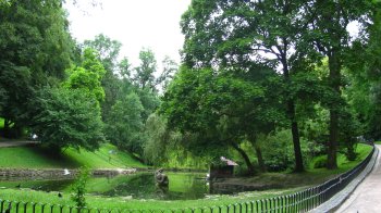 У Стрийський парк запрошують на ранкову руханку 