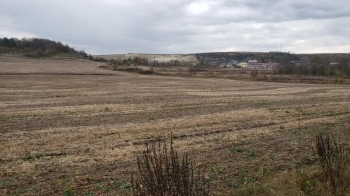 Київський підприємець викупив три ділянки у Миколаєві за понад 5 млн грн