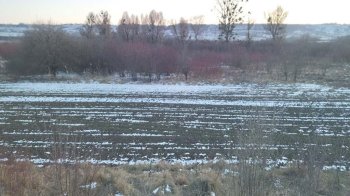 У Золочеві на аукціоні продали землю під нову автозаправку