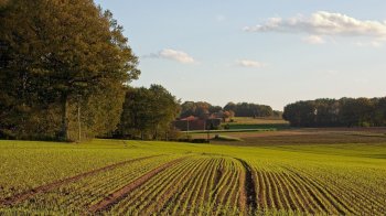 Ексголові сільради на Львівщині повідомили про підозру за привласнення 1,5 га землі громади