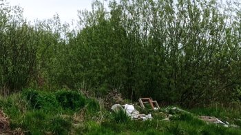 В Дрогобицькому районі виявили звалище сміття (фото)