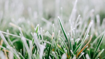 Синоптики попередили про різке похолодання та сніг на Львівщині