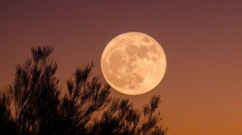 Українці зможуть побачити «супермісяць»: коли це станеться і як розгледіти