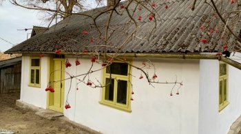 На Львівщині шукають господарів для відреставрованої лимонно-гірчичної хатинки