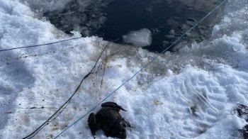 Чотирьох рибалок на Львівщині оштрафували за порушення правил