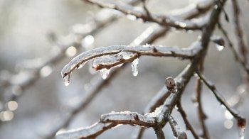 Негода і крижаний дощ у Львові