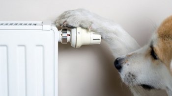 У Львові на два дні призупинять подачу опалення через потепління