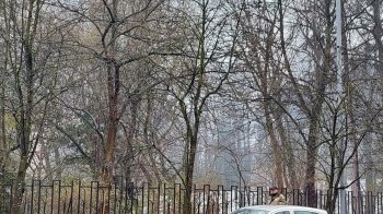 Довели до екологічної катастрофи: львів’яни поскаржилися на задимлені вулиці у Франківському районі