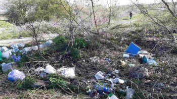 На Львівщині виявили одразу кілька стихійних сміттєзвалищ