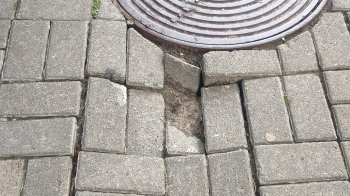 Просять також повідомити відповідні служби