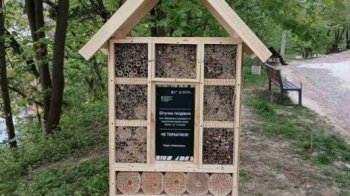 У львівському парку зробили будиночок для комах